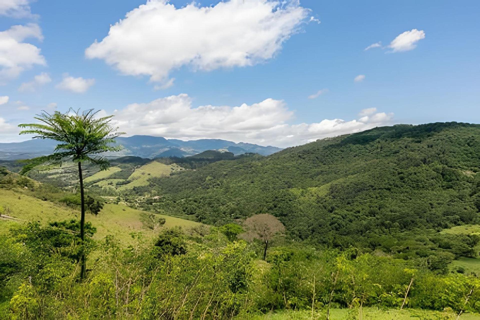 Casa De Pedra, Charme E Conforto Campos do Jordão